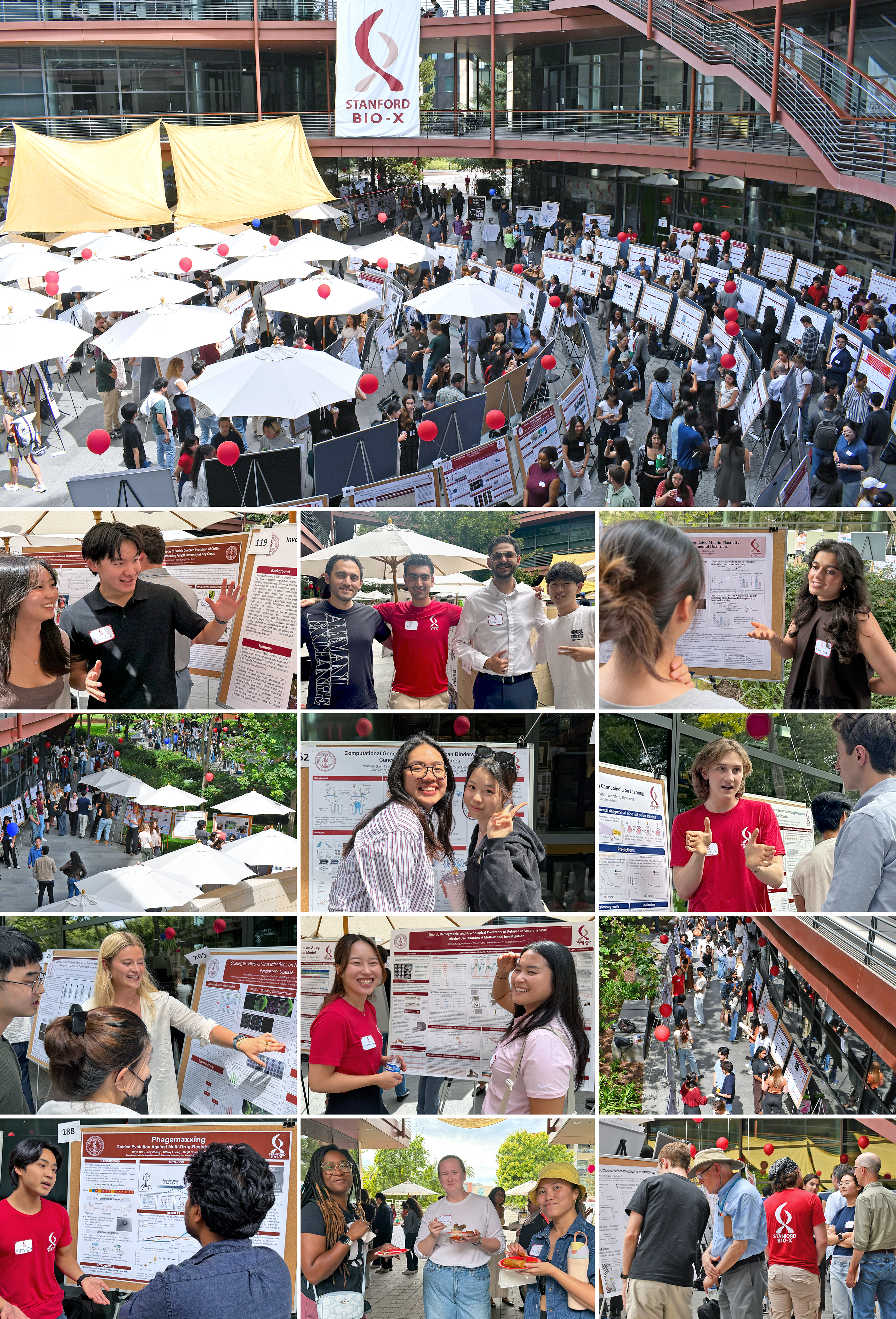 Collage of researchers enjoying an outdoor poster session with numerous poster boards.