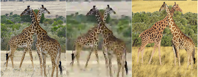 Banner of three images: leftmost image shows two giraffes. Middle image is a blurry, pixelated version of first image, created by an algorithm to compress the photo. Third image is a recreation of a similar but not identical image of two giraffes, created by a person receiving dictation describing the first photo.