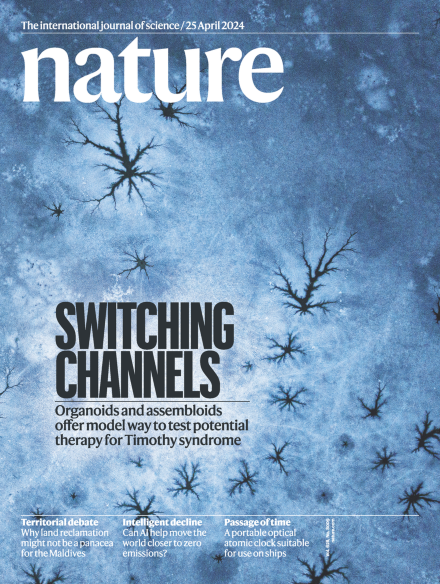 Cover of Nature journal, with background of blue field with darker blue neuron shapes fanning out. The word "Nature" is in white at the top, with the sub heading "Switching Channels: Organoids and assembloids offer model way to test potential therapy for Timothy syndrome" below.