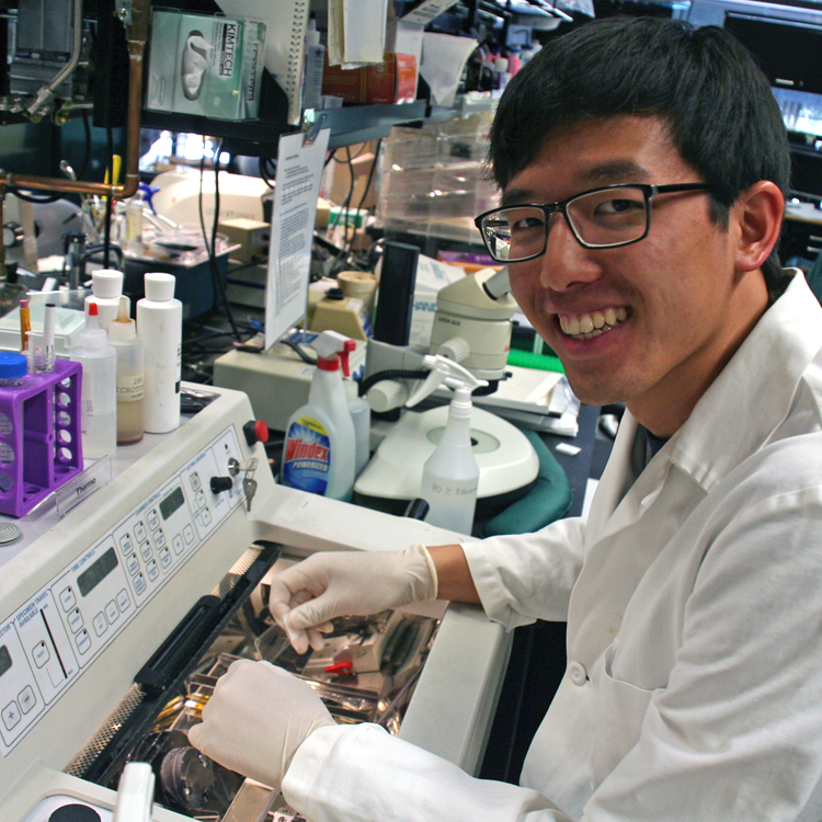 Photo of USRP student Alan Wei in the laboratory, putting samples into a large piece of lab equipment.