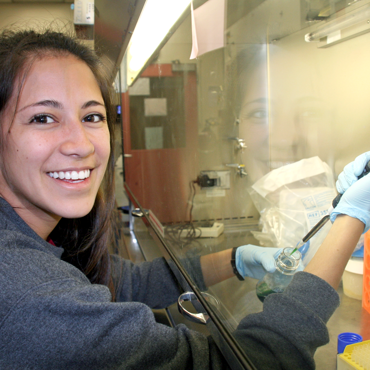 Photo of USRP student Alexandra Bourdillon in the laboratory, pipetting in a fume hood.