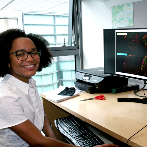 Photo of undergraduate student Alexis Lowber sitting at a desk in the lab, looking at cancer images on a computer screen.