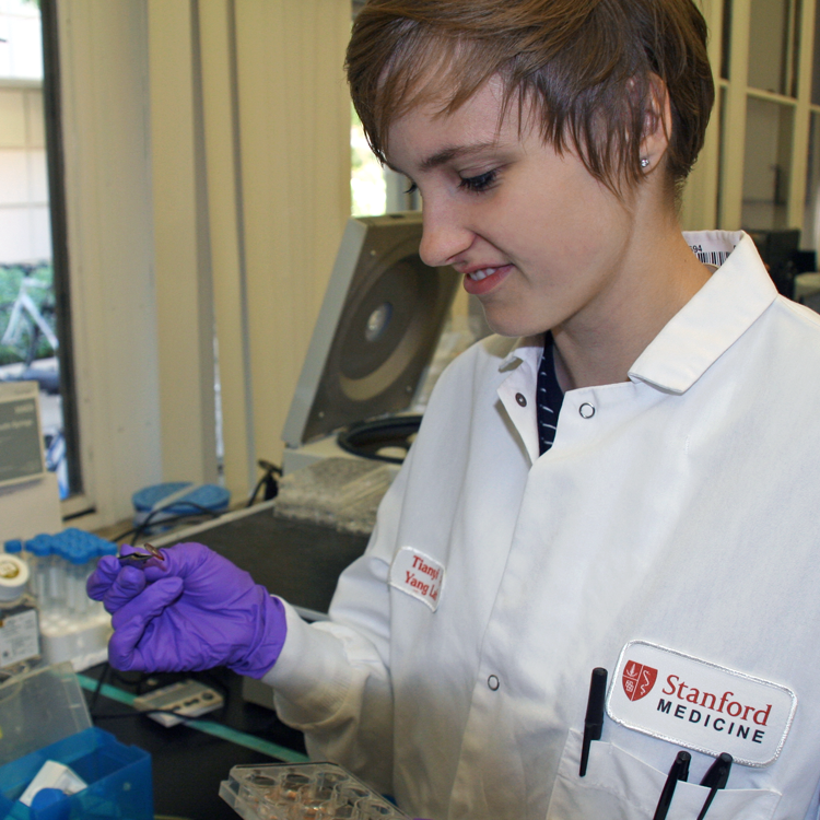 Photo of graduate student Alice Stanton in the lab, examining samples.