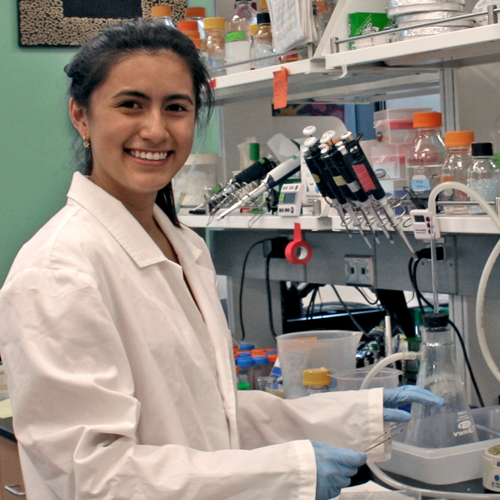 Photo of undergraduate student Anais Tsai standing at a lab bench, working with glassware and other items.