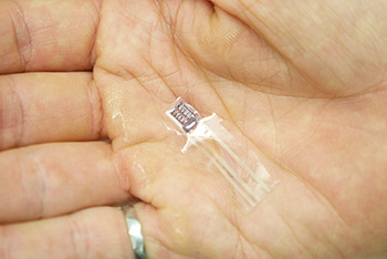 Photo of pressure sensor on flexible plastic in palm of a person's hand.