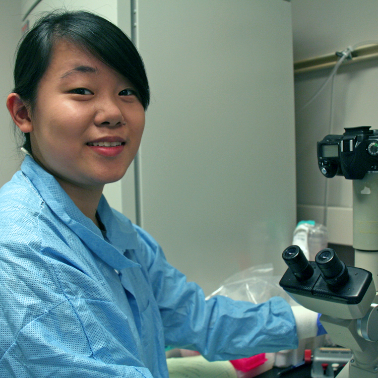 Photo of USRP student Cindy Liu in the lab, working with a microscope with a mounted camera.