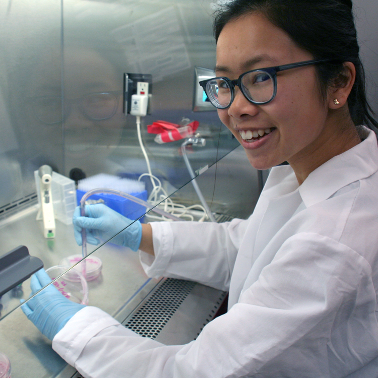 Photo of an Asian female undergraduate student wearing PPE and working in a fume hood in a wet laboratory.