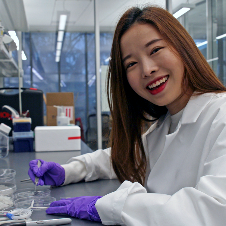 Photo of USRP student Dahee Chung in the laboratory, working with petri dishes.