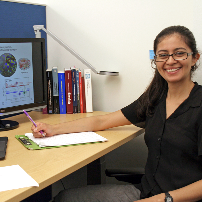 Photo of graduate student Emma del Carmen Gonzalez Gonzalez in the lab, sitting at a laptop with notes.