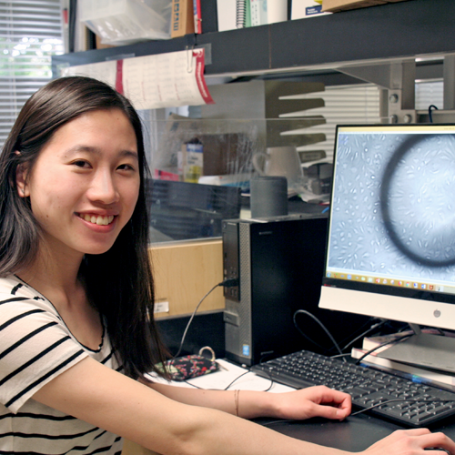 Photo of undergraduate student Emma Tsai sitting at a desk in front of a computer monitor displaying a large gray image of a stem cell.