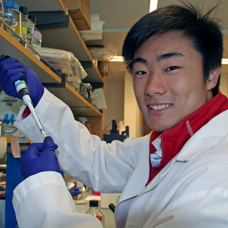 Photo of USRP student Enoch Park in the lab, pipetting a solution.