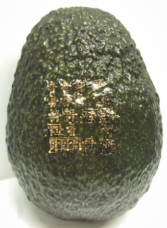 Photo of an avocado with flexible semiconductor laid on like a sticker, with gold pieces conforming to bumps of avocado's skin.