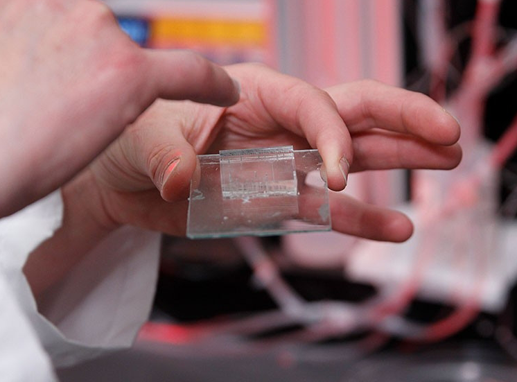 Photo of Dr. Fordyce holding up and pointing out features of a translucent square-shaped microfluidic device.