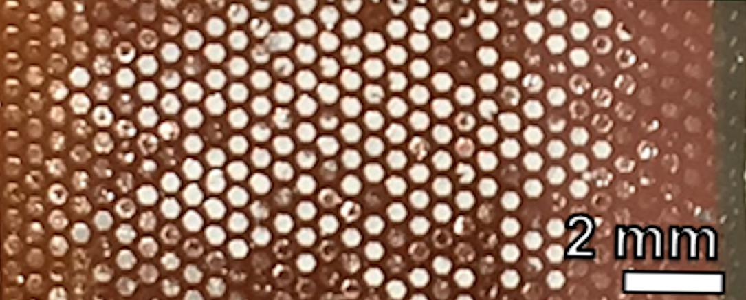 Photo showing close-up of hexagonal compound-eye-like structure of perovskite, assembled and undamaged. Scale indicated is 2mm and individual cells are much smaller than scale bar.