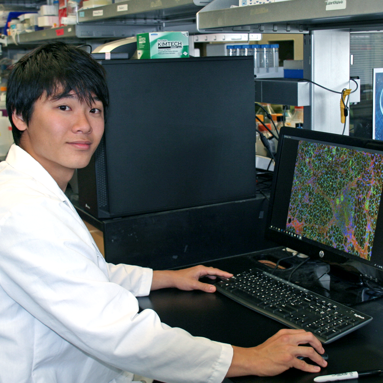 Photo of USRP student Hikaru Hotta in the laboratory, with a colorful cell image on a laptop screen.