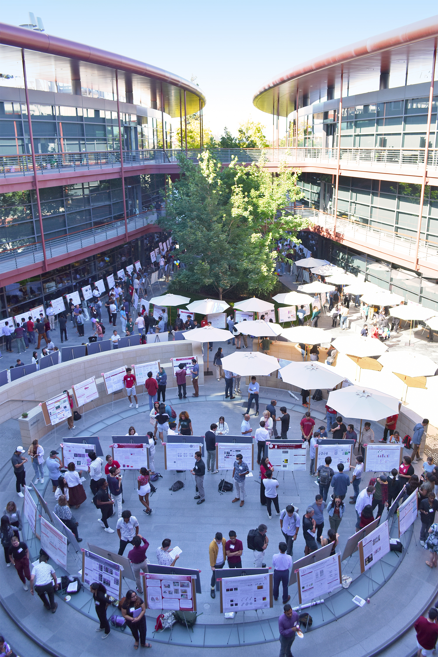 Outdoor photo of hundreds of researchers visiting scientific posters in the Clark Center Courtyard, with numerous umbrellas.