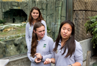 Photo of students at the Zoo.