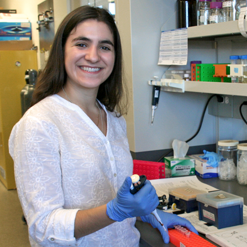 Photo of undergraduate student Jessica Frank in the lab, using a pipette and a small plastic tray full of tubes.