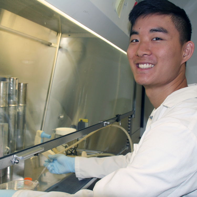 Photo of USRP student Jonathan Wang in the laboratory, working in a fume hood.
