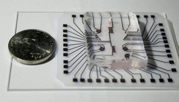 Photo of the lab on a chip device, which is made of a clear silicone microfluidic chamber for housing cells and a reusable electronic strip, next to a coin for scale.