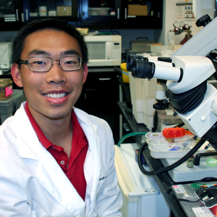 Photo of USRP student Michael Chen in the laboratory, working at a microscope.