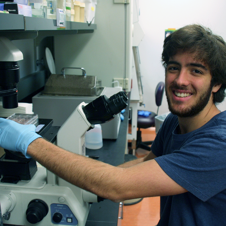 Photo of USRP student Nico Herrera in the lab, putting samples on a microcsope.