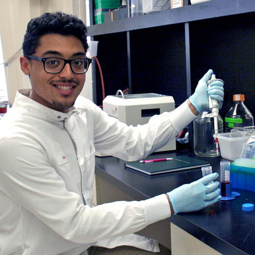 Photo of undergraduate student Omeed Miraftab-Salo wearing a lab coat and sitting at a lab bench, using a pipette to move a solution.