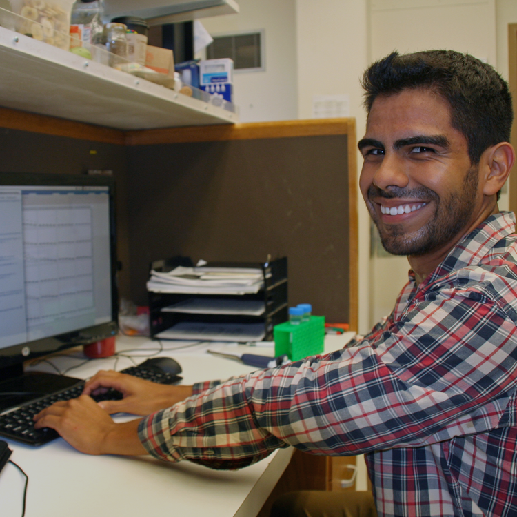Photo of graduate student Pablo Garcia Nieto in the lab, coding on a computer.