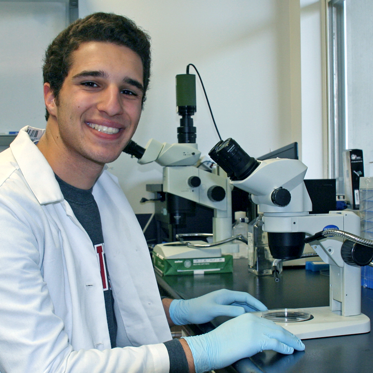 Photo of USRP student Panos Vandris in the laboratory, looking at cells under a microscope.