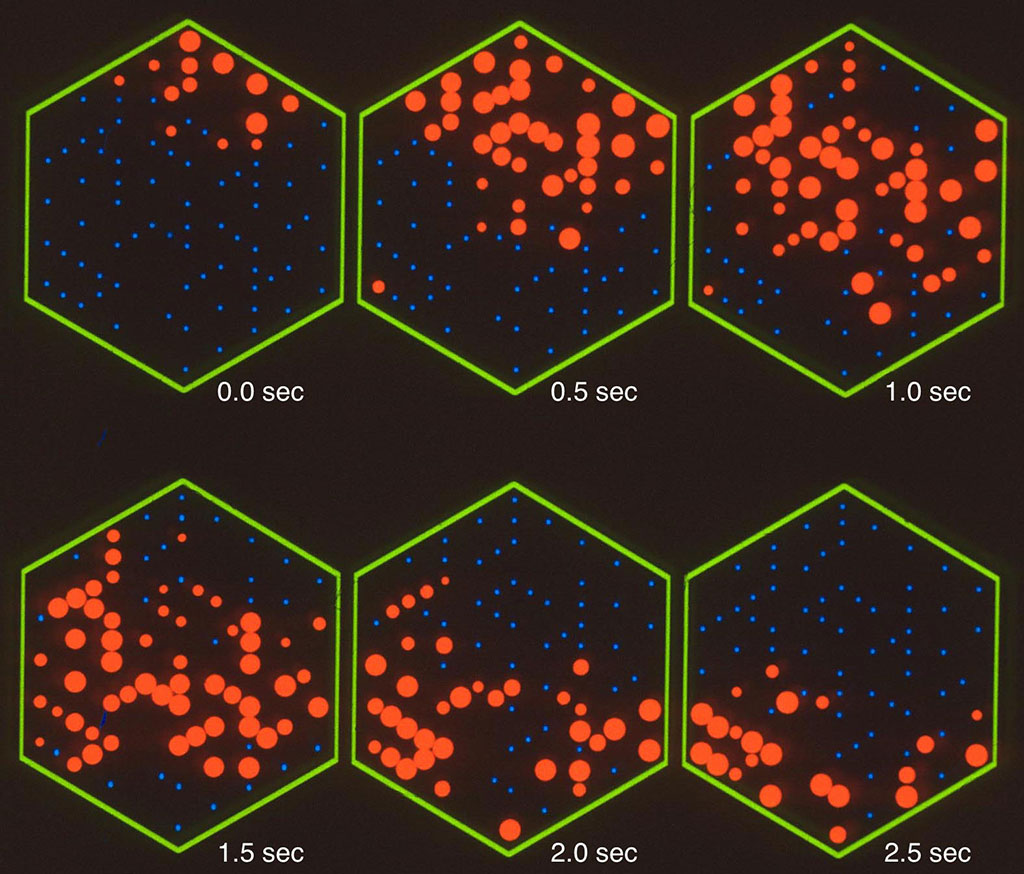 Diagram of electrical activity of neurons showing six hexagons in two rows: two 3 show increasing activity in top right region; bottom 3 show decreasing activity in bottom left region.