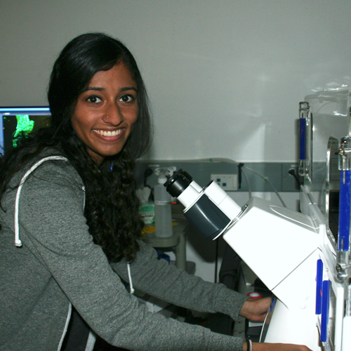 Photo of USRP student Preethi Raghavan in the lab, using a large microscope.
