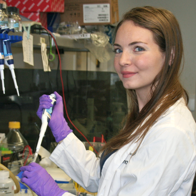 Photo of graduate student Sam Piekos in the lab, pipetting at the bench.