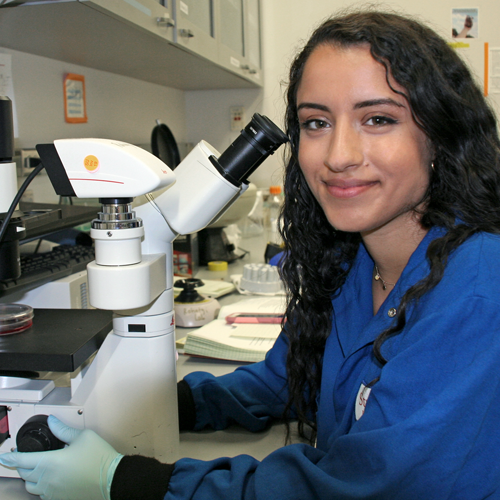 Photo of undergraduate student Sara Frigui sitting at a large microscope.