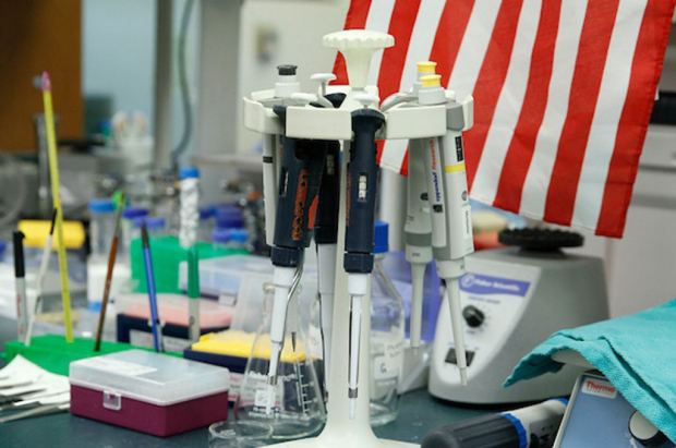 Photo of pipettes in the Scherrer lab.