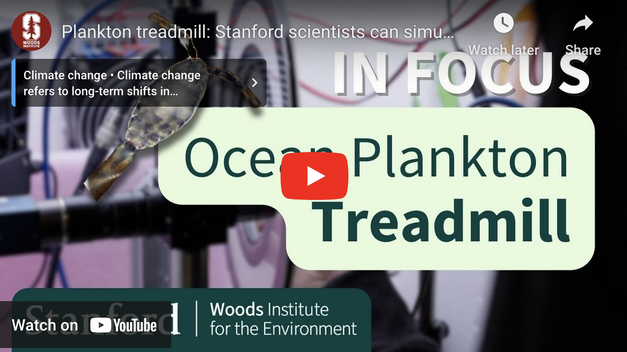 YouTube thumbnail showing the title Plankton Treadmill and then the words In Focus: Ocean Plankton Treadmill with an image of a plankton superimposed over some devices in the background.