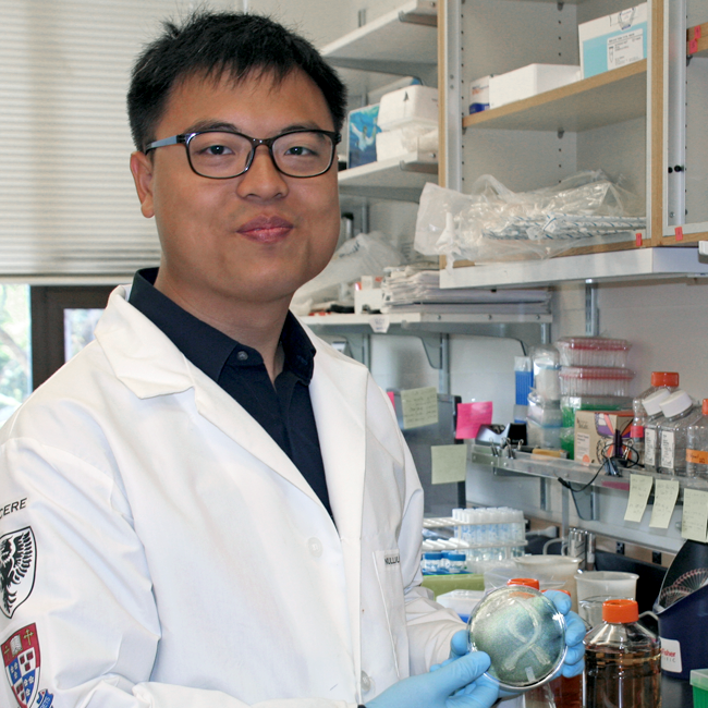 Photo of graduate student Shi-An Chen in the lab, holding up a petri dish with bacterial colonies forming X-shaped arms of the Bio-X logo.