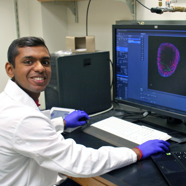Photo of graduate student Suhaas Anbazhakan in the lab, operating a computer displaying a cell image in purple.