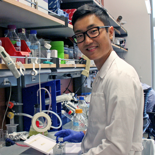 Photo of undergraduate student Tyler Shibata standing at the lab bench and taking small samples out of a container.