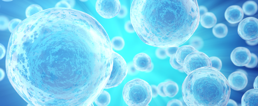 Graphic illustration of numerous cells on a blue background.