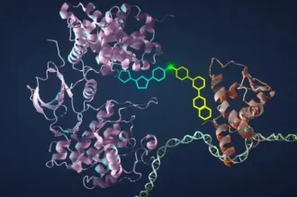 Graphic image of two twisting proteins attached together by linkages with honeycomb shapes.