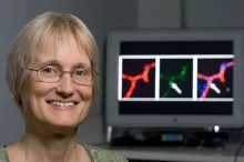 Photo of Dr. Katrin Andreasson in front of a computer monitor screen showing brain images.