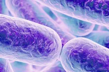 Graphic image of cylindrical bacteria depicted in purple.