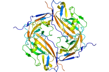 Graphic depiction of CD47 protein.