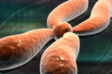 Graphic image of chromosome.