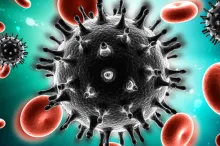 Graphic image depicting virus cells in bloodstream.