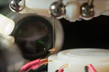 Fly being held by robot.