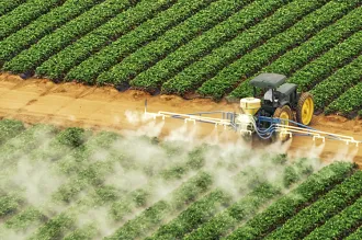 Photo of a large industrial machine between two sections of many rows of bright green crops, spraying the ones closest to it with a white mist.