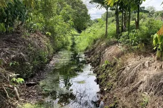 Photo of a canal with water in it, cut thorugh jungle area with some houses in the background.