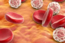 Graphic showing white and red blood cells.
