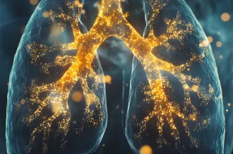 3D graphic illustration of lungs.